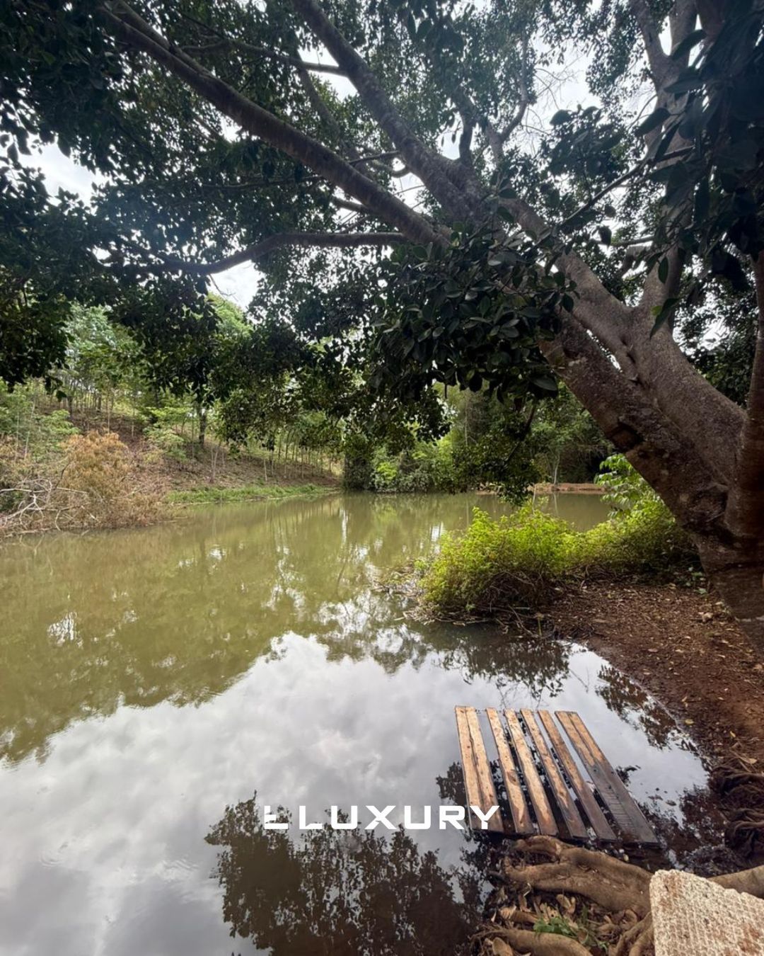 Chácara, 2 quartos, 5000 m² - Foto 3