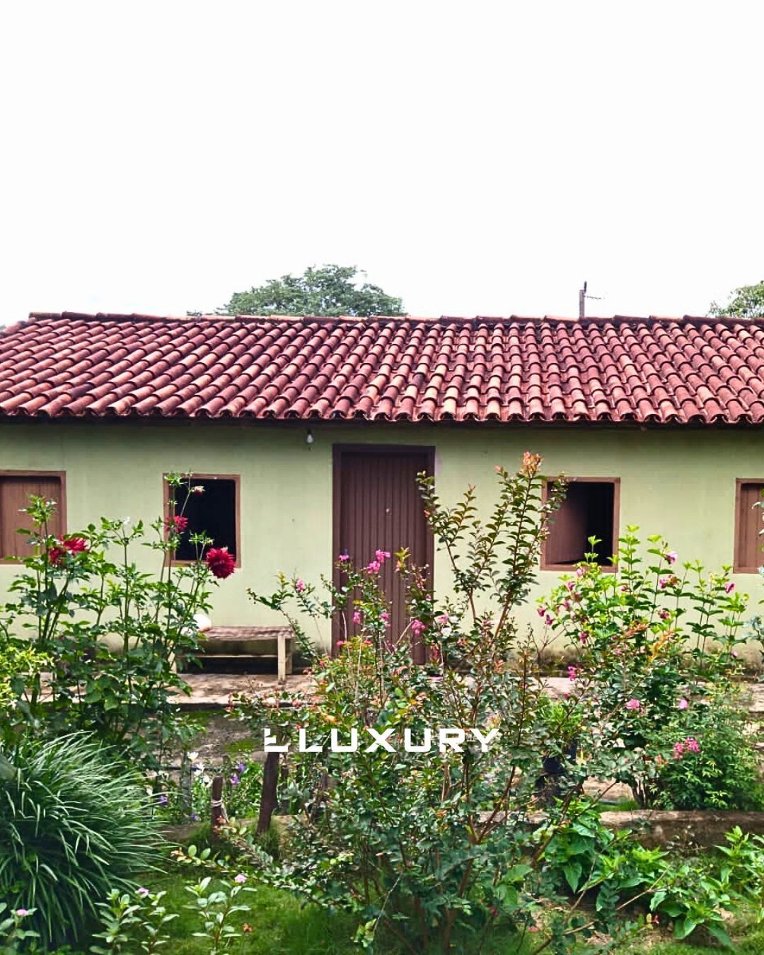 Fazenda, 25 hectares - Foto 1