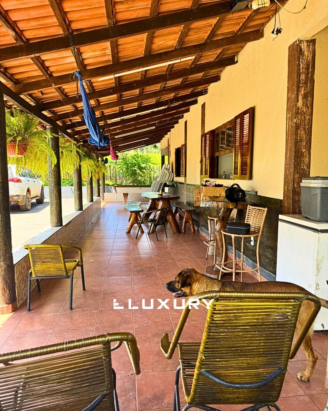 Sítio, 3 quartos, 2 hectares - Foto 4