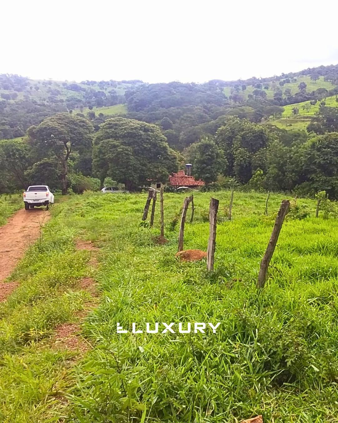 Fazenda, 25 hectares - Foto 3