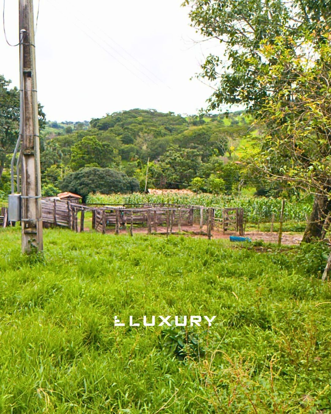 Fazenda, 25 hectares - Foto 4
