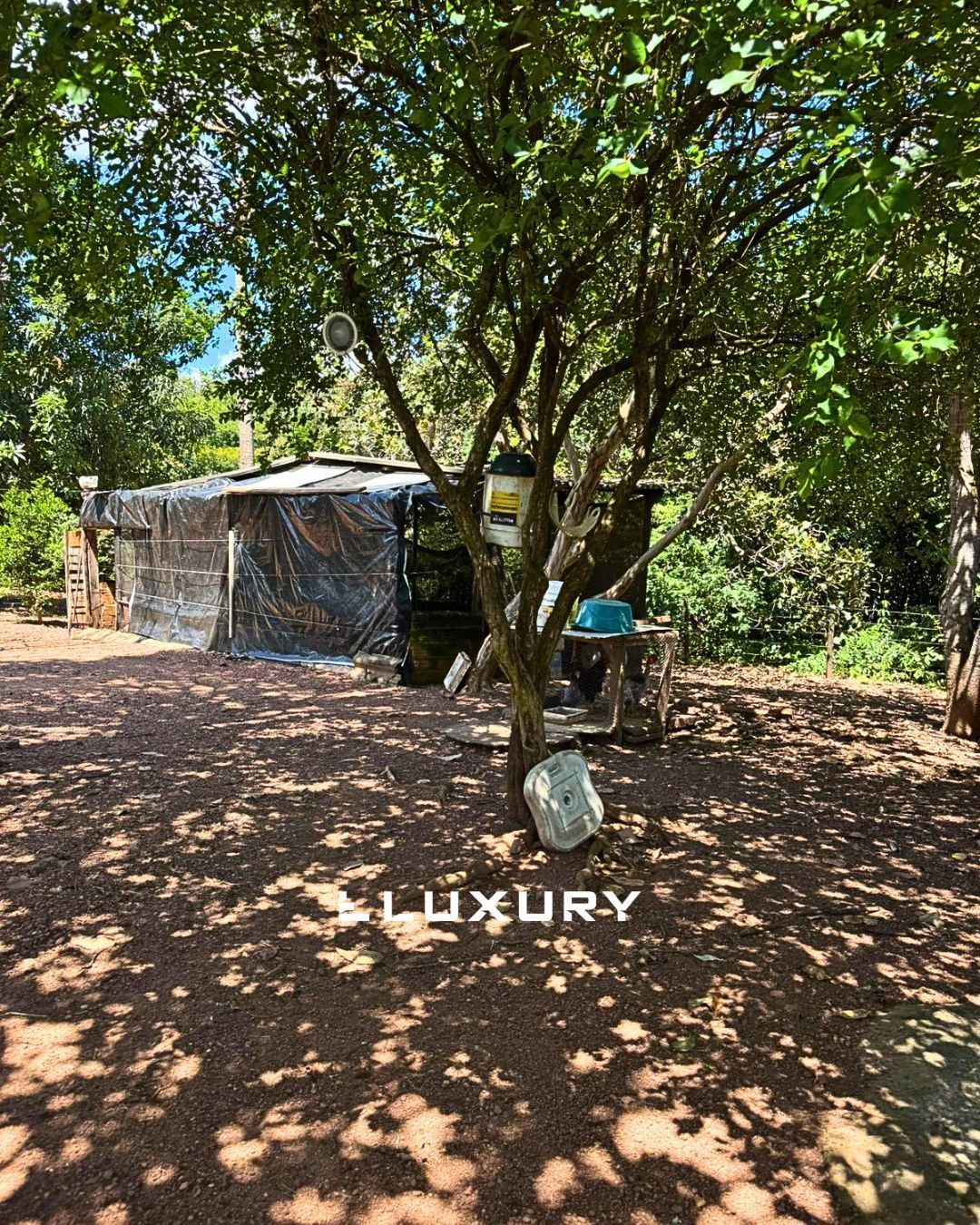 Sítio, 3 quartos, 2 hectares - Foto 16
