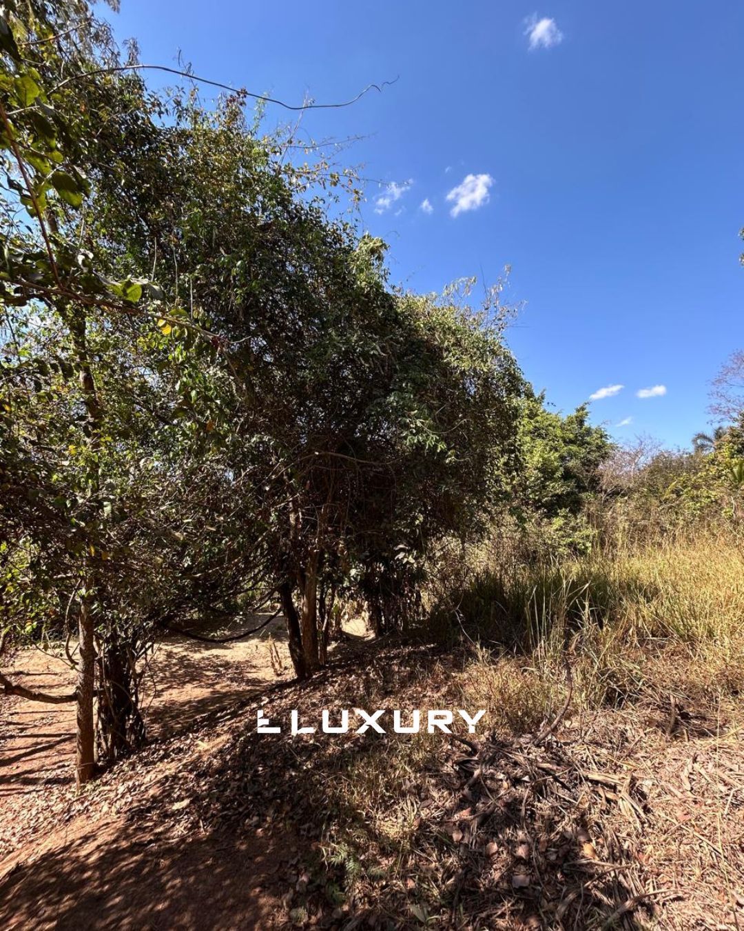 Chácara, 3 quartos, 4 m² - Foto 5