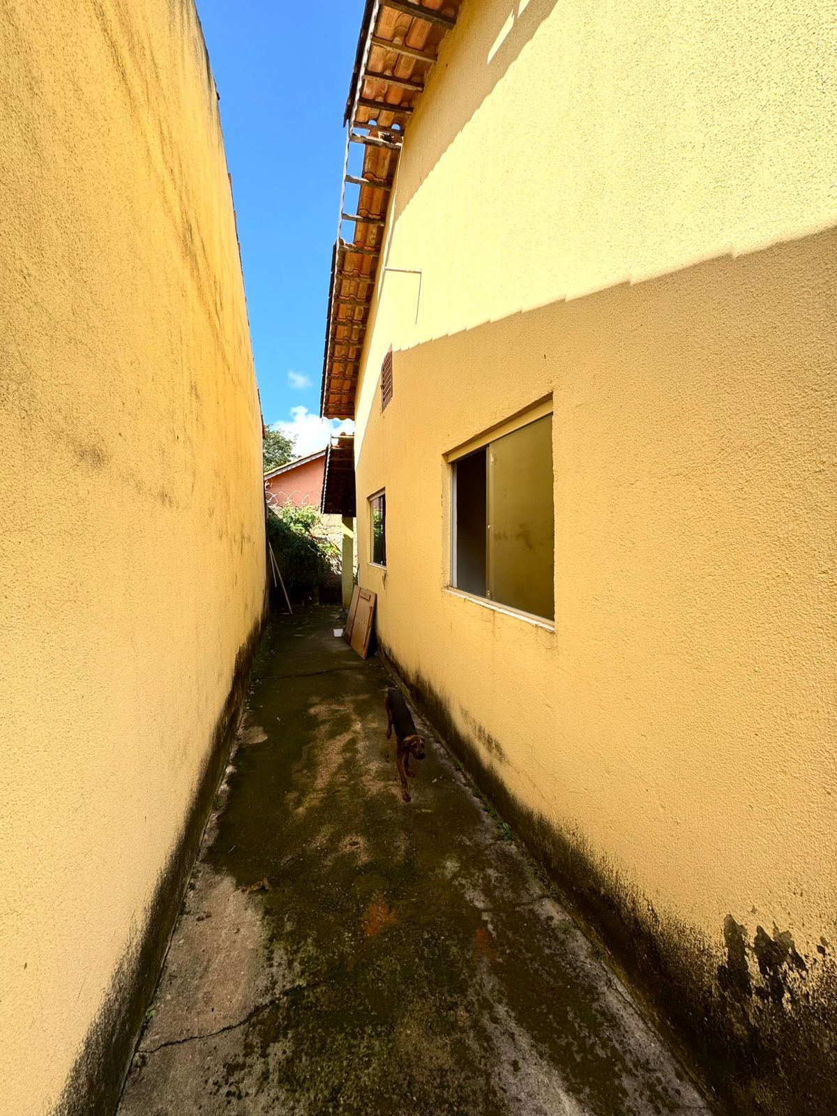 Casa à venda com 2 quartos, 56m² - Foto 6
