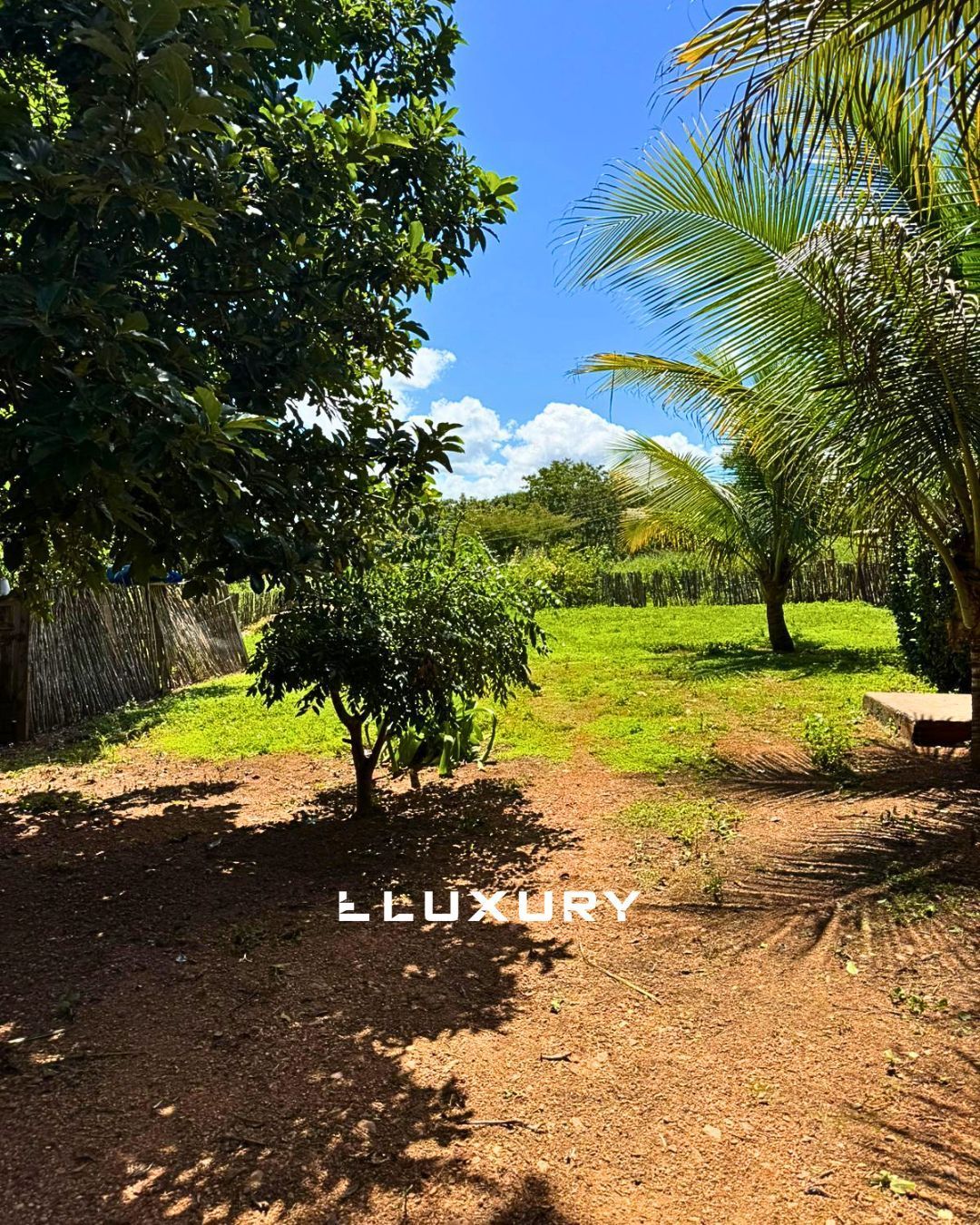 Sítio, 3 quartos, 2 hectares - Foto 21
