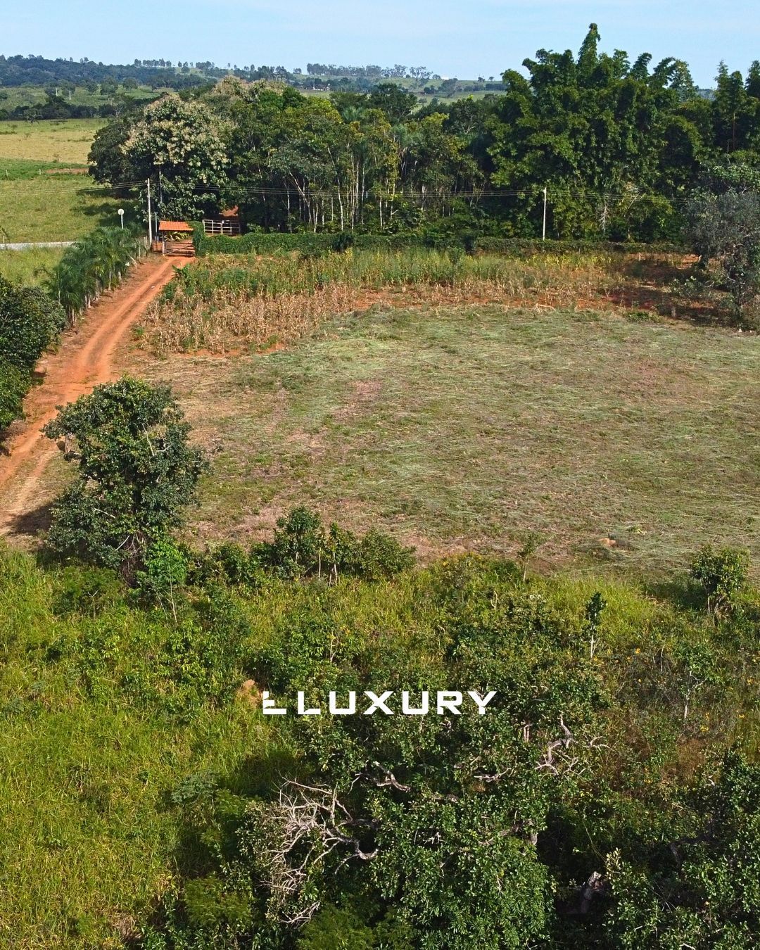Sítio, 3 quartos, 2 hectares - Foto 16
