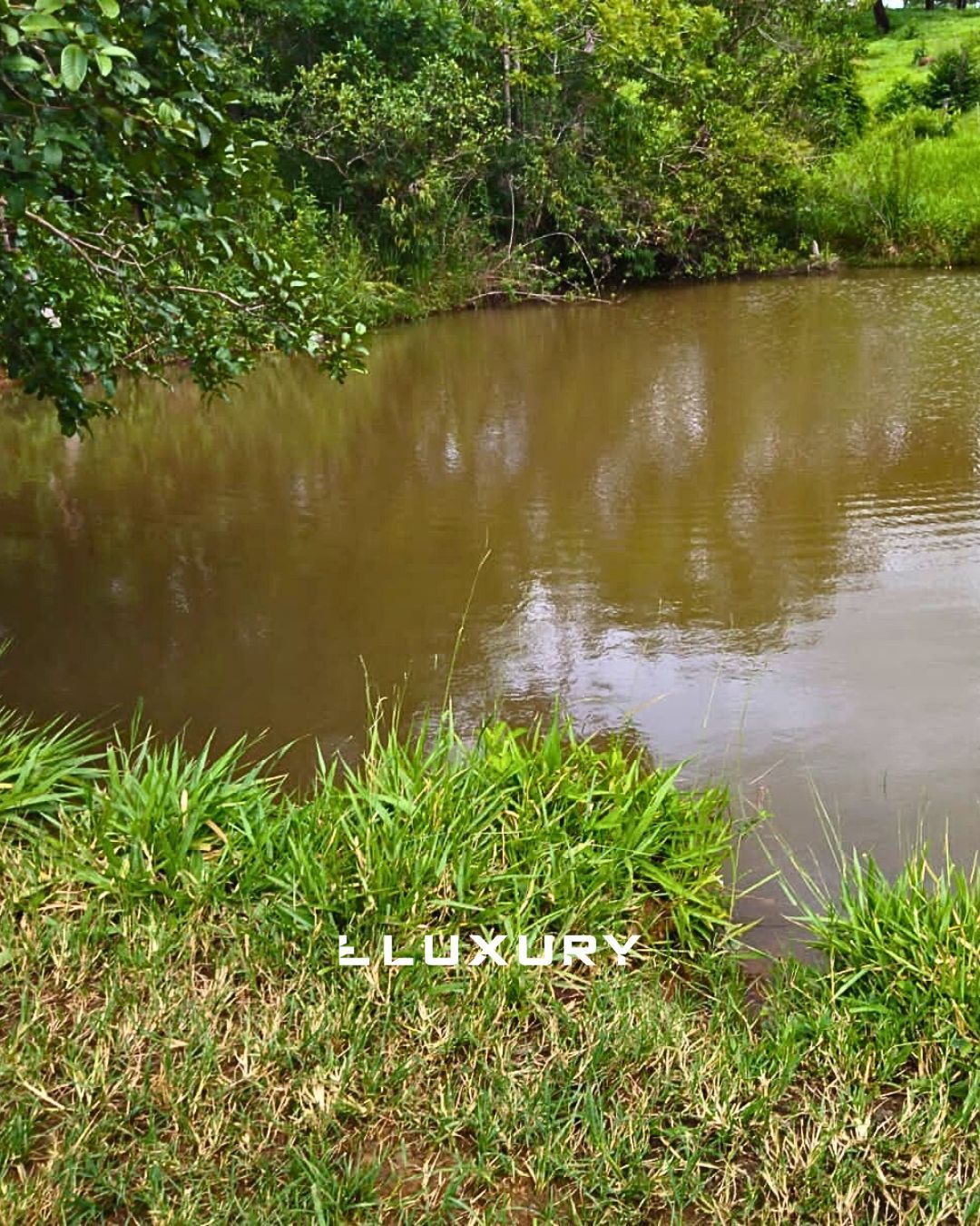 Fazenda, 25 hectares - Foto 8