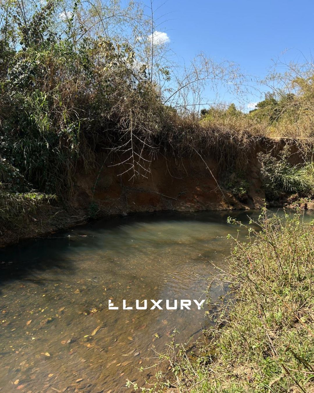 Chácara, 3 quartos, 4 m² - Foto 9