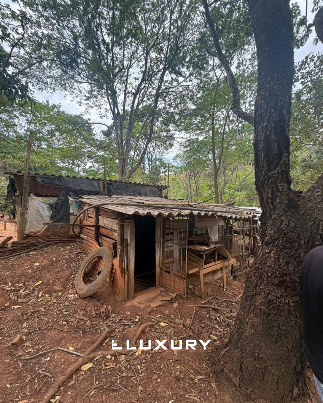 Chácara, 2 quartos, 5000 m² - Foto 9