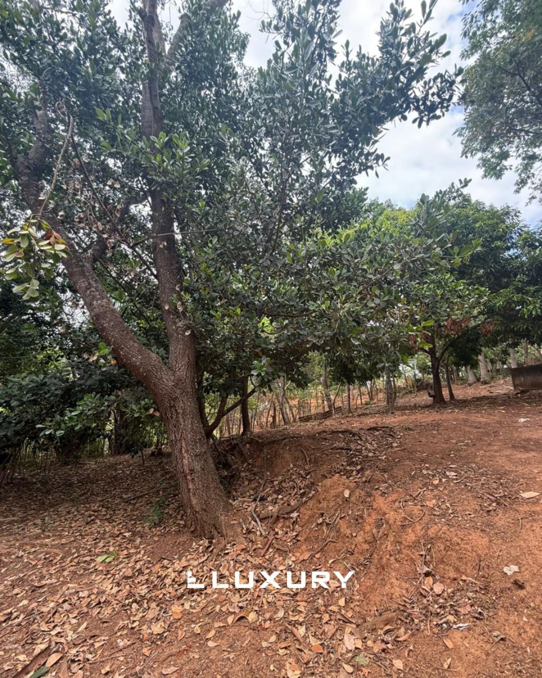 Chácara, 2 quartos, 5000 m² - Foto 7