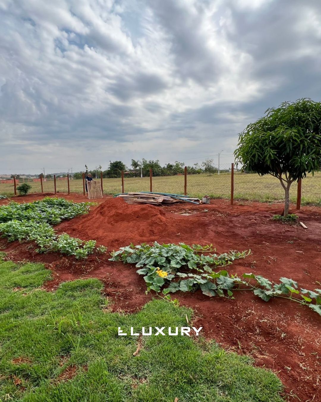 Casa de Condomínio, 4 quartos - Foto 27