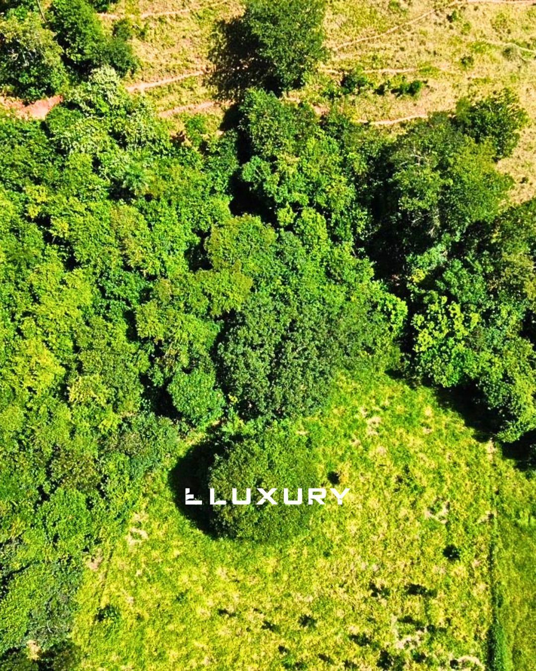 Sítio, 3 quartos, 2 hectares - Foto 11