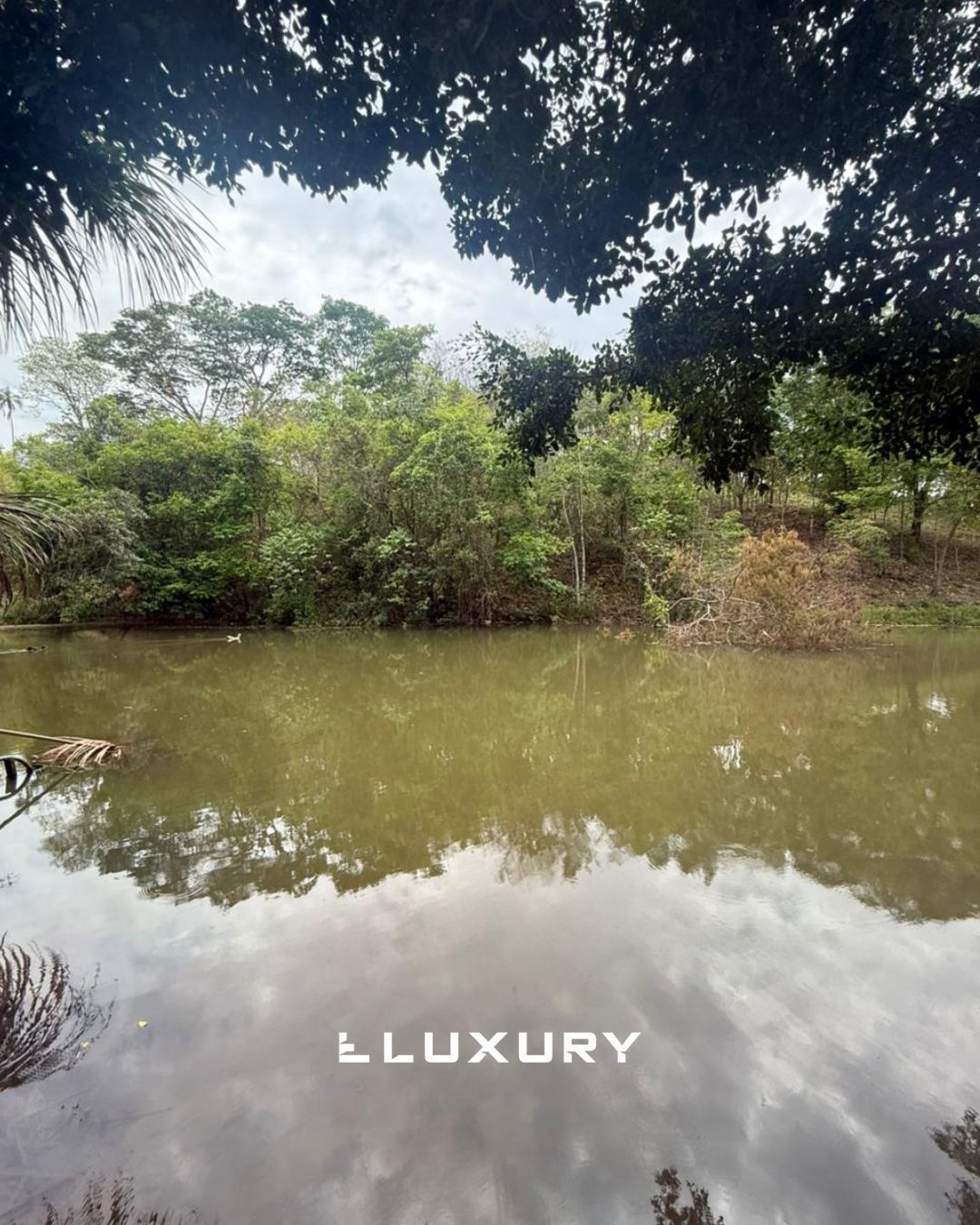 Chácara, 2 quartos, 5000 m² - Foto 2