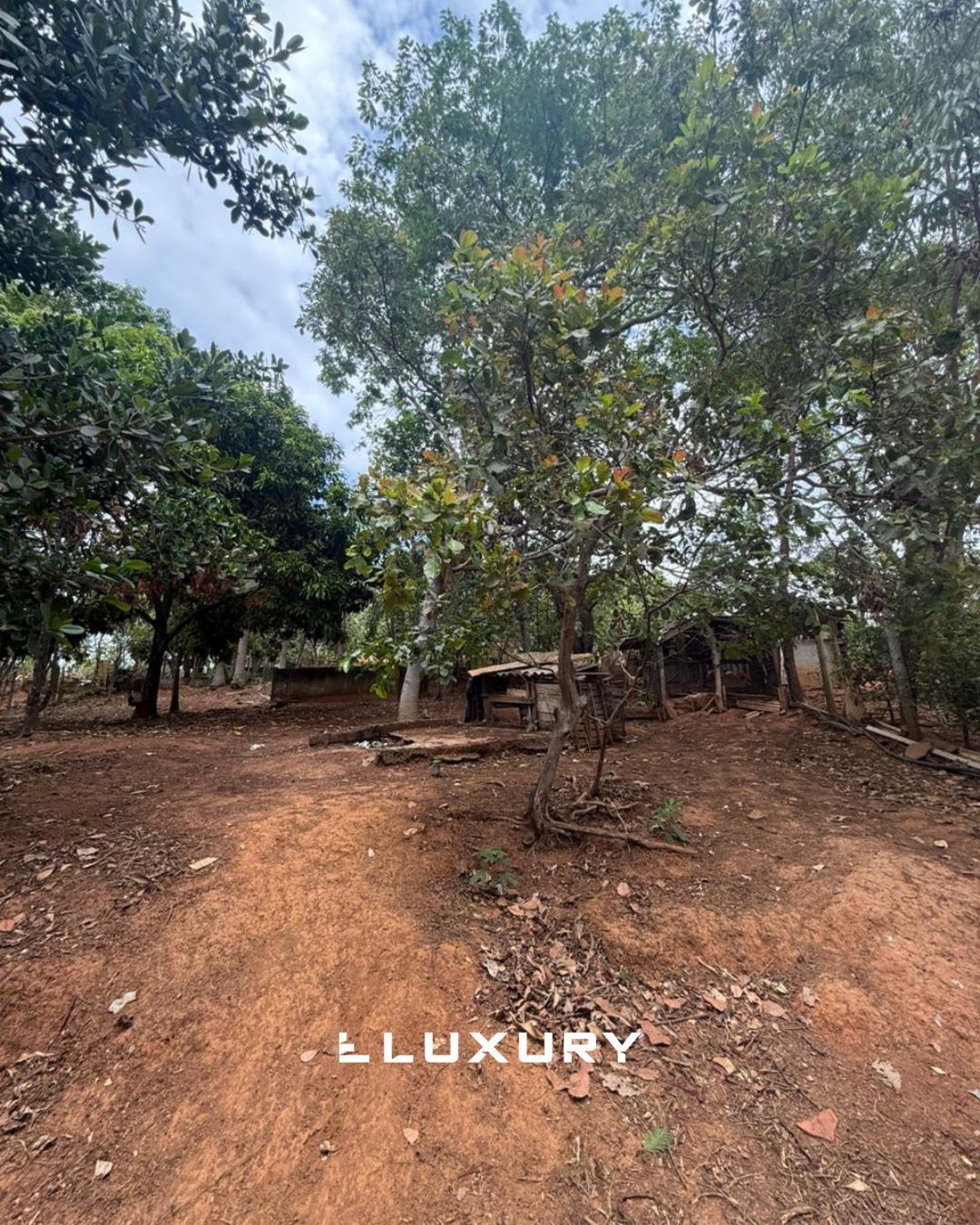 Chácara, 2 quartos, 5000 m² - Foto 6