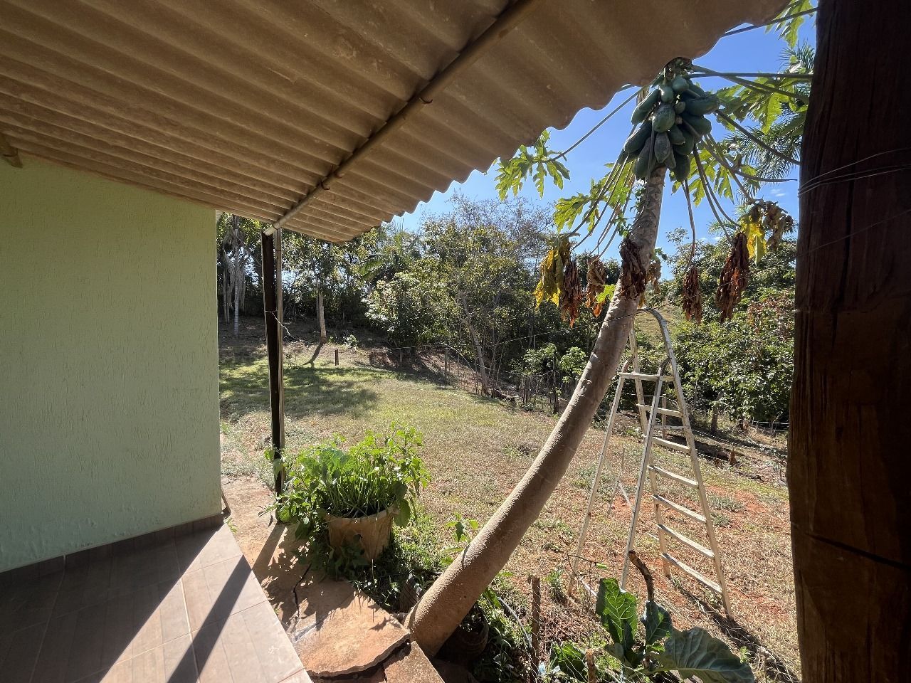 Chácara à venda com 2 quartos, 90m² - Foto 6