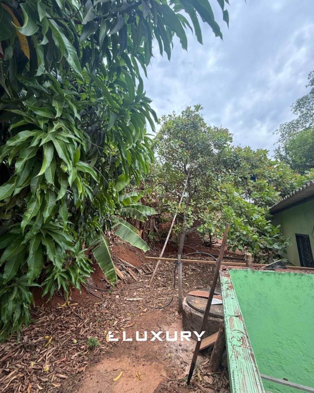 Sítio, 2 quartos, 5000 m² - Foto 11