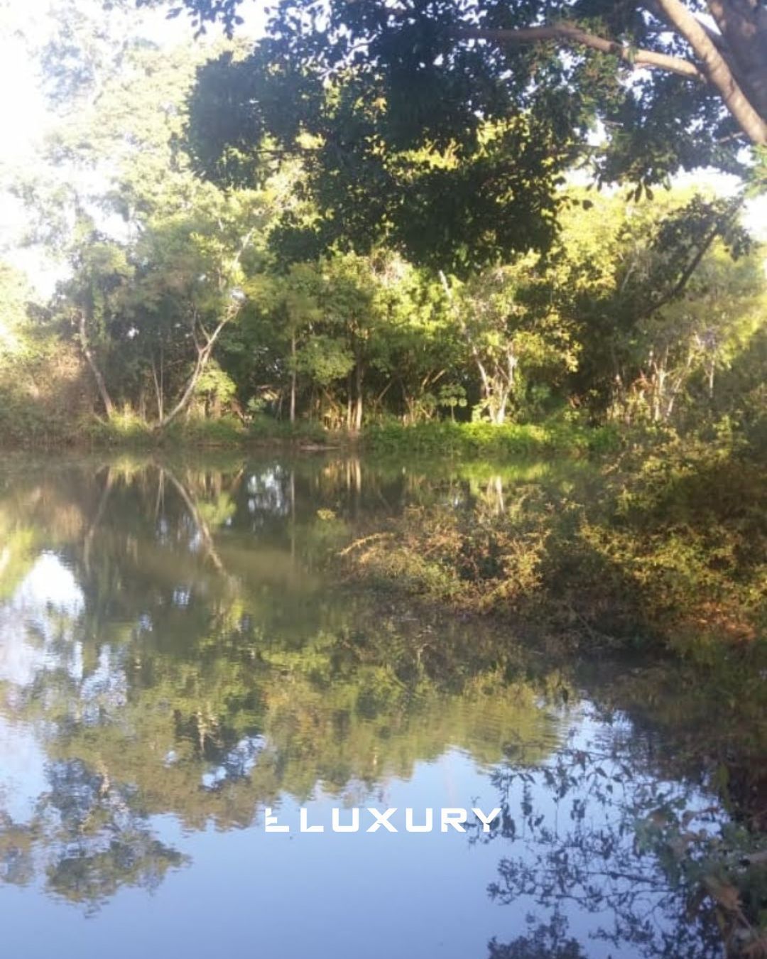 Sítio, 2 quartos, 5000 m² - Foto 14