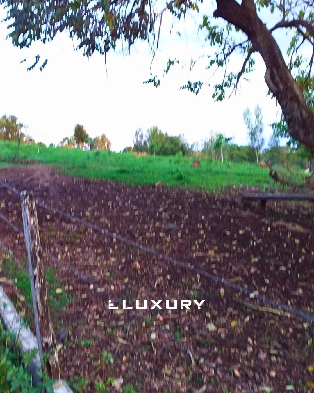 Fazenda, 25 hectares - Foto 9