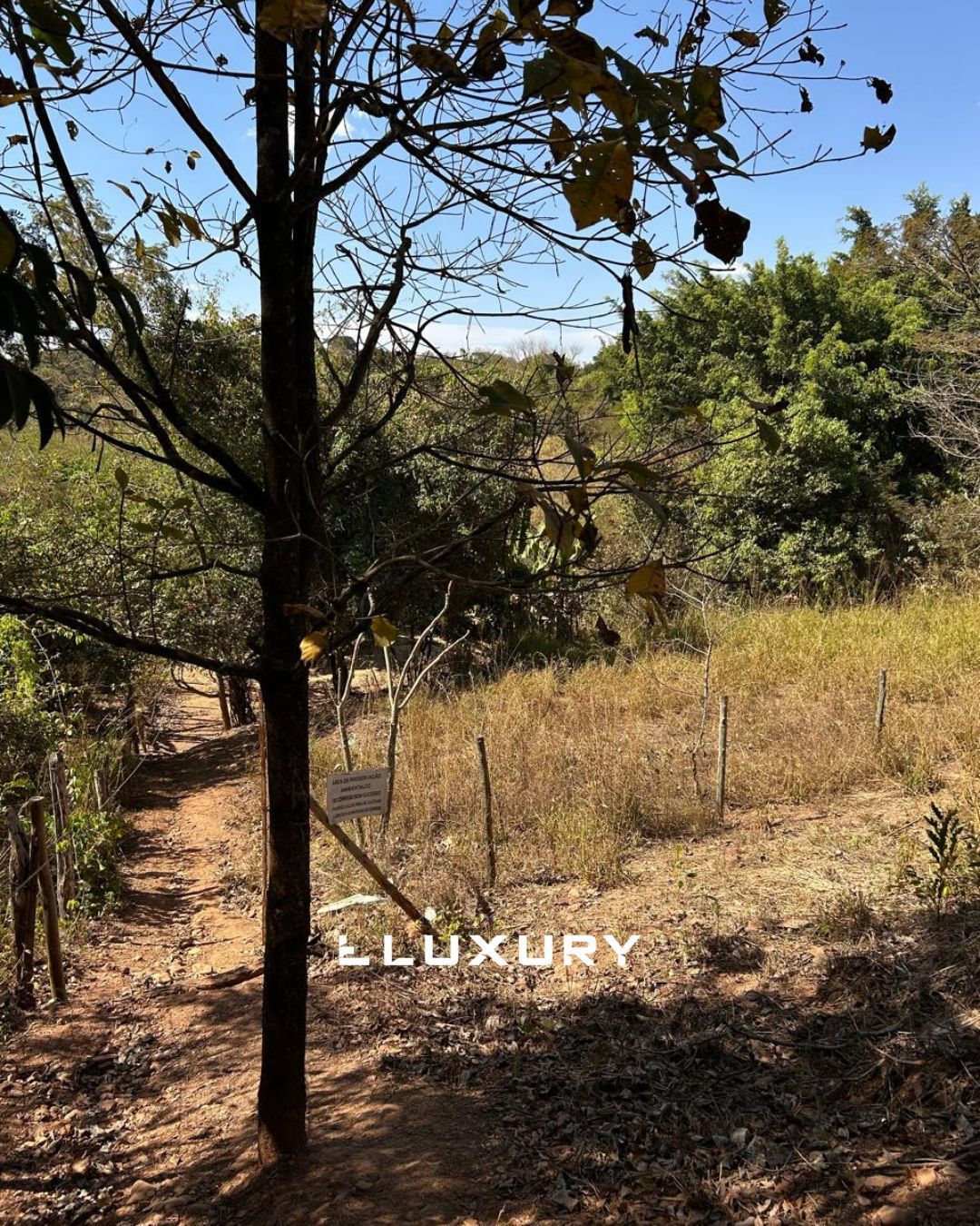 Chácara, 3 quartos, 4 m² - Foto 6