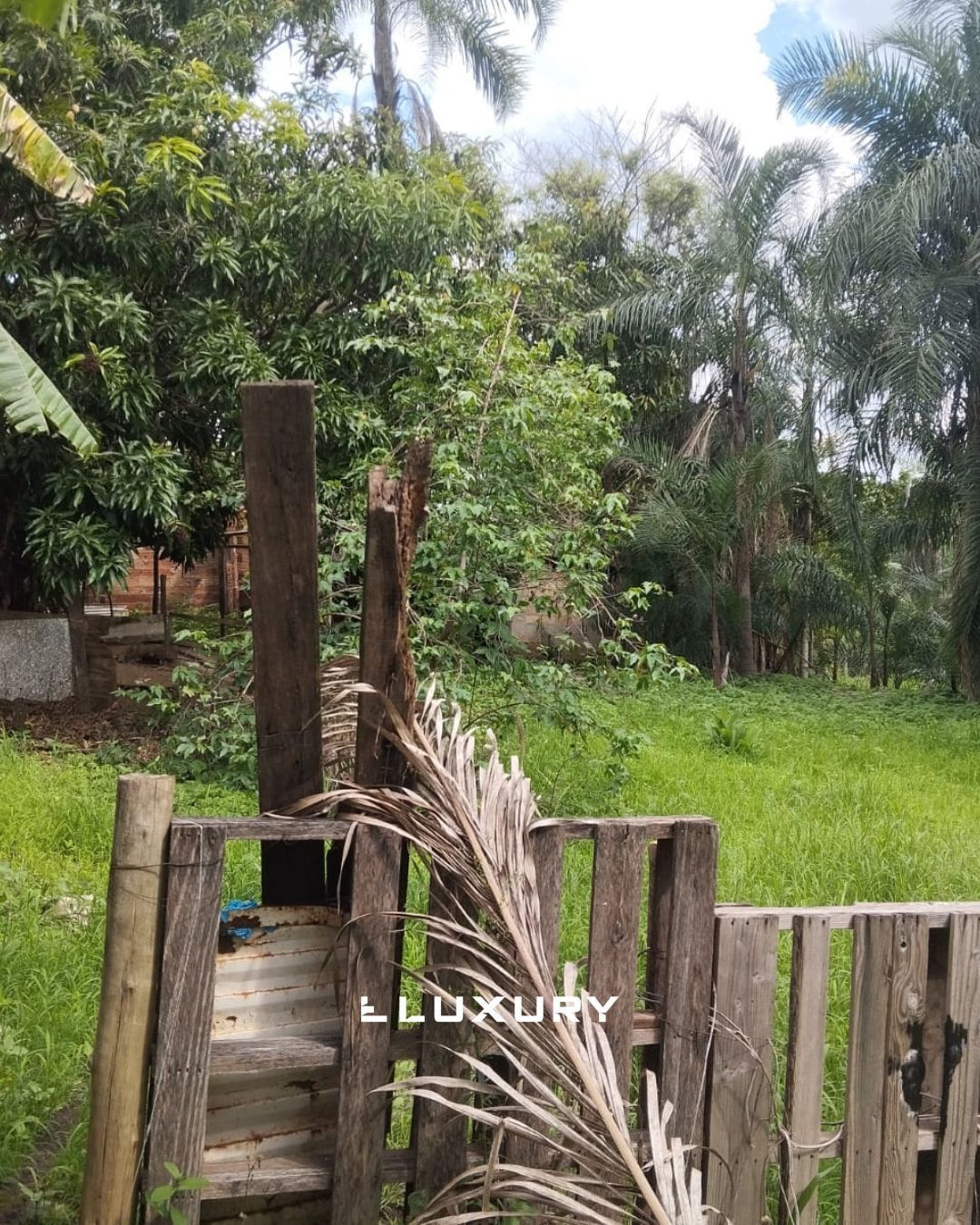 Chácara, 8 quartos, 10000 m² - Foto 14