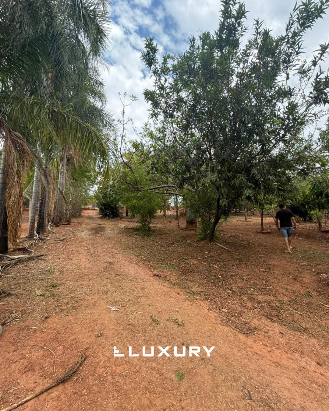 Chácara, 2 quartos, 5000 m² - Foto 4