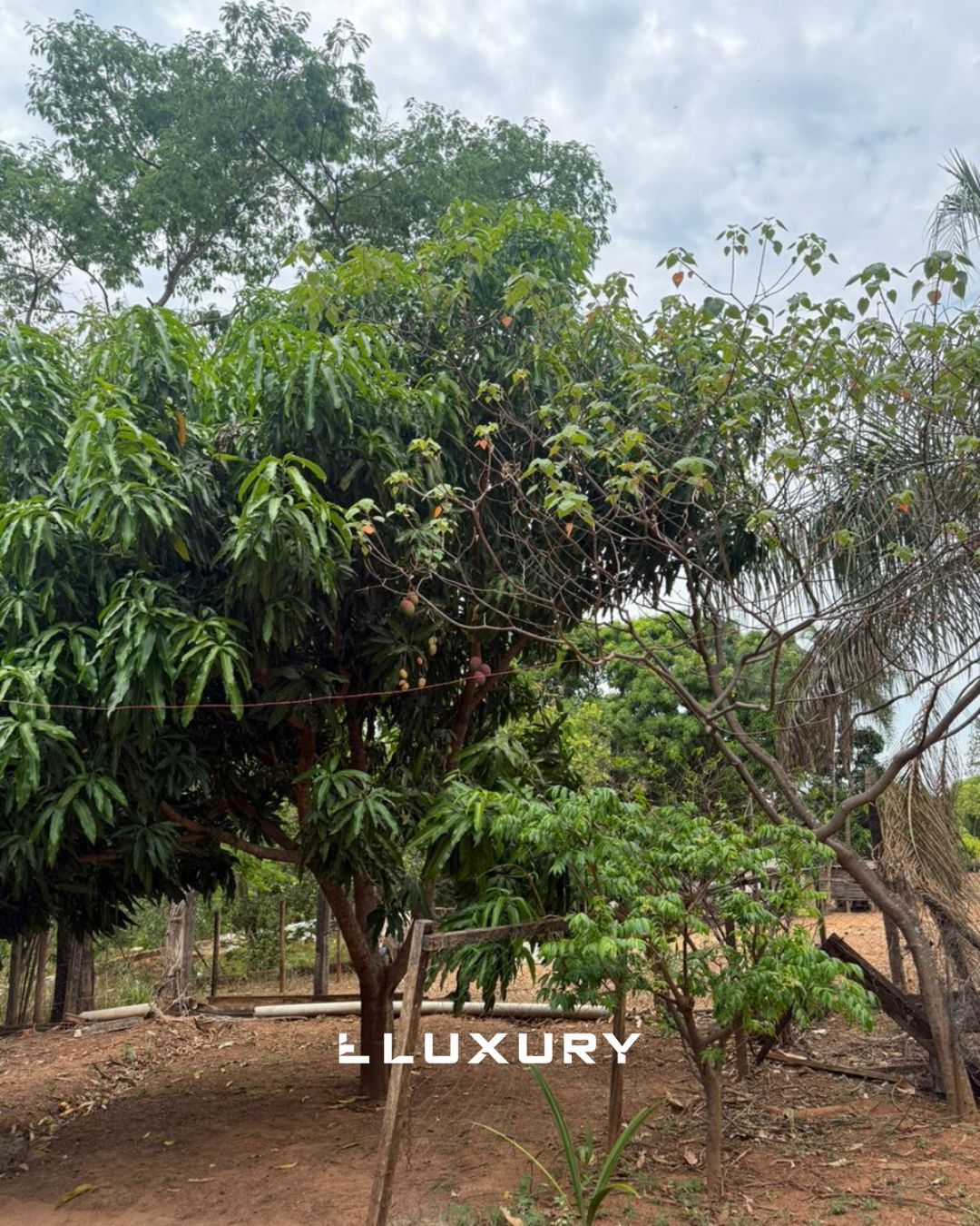 Chácara, 2 quartos, 5000 m² - Foto 8