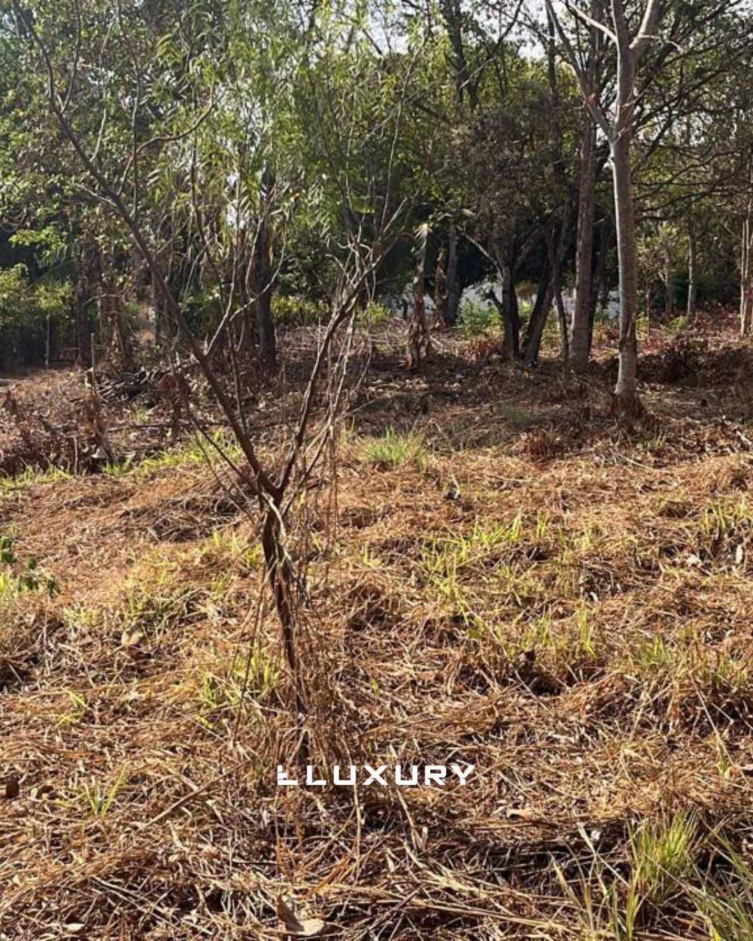 Chácara, 3 quartos, 6826 m² - Foto 17