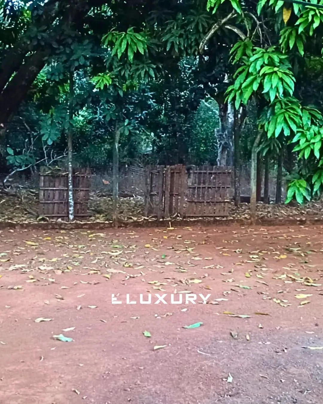 Sítio, 3 quartos, 5000 m² - Foto 8