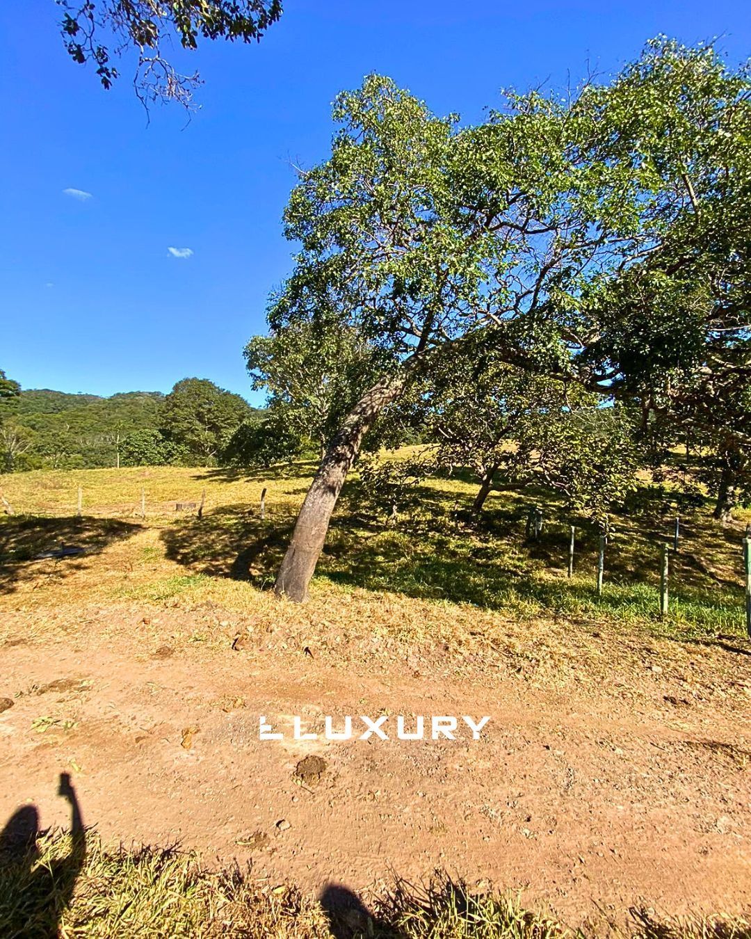 Fazenda, 121 hectares - Foto 4