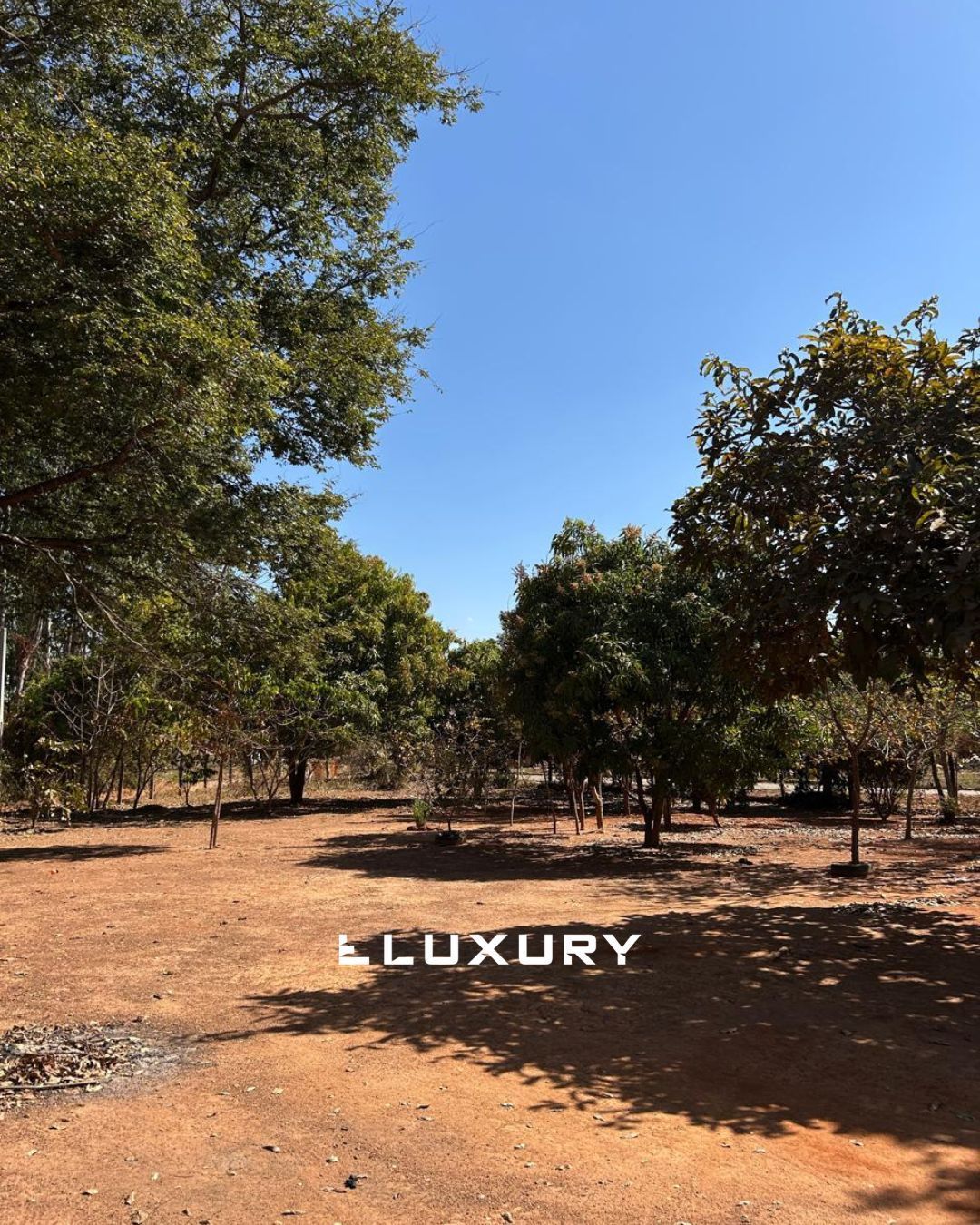 Chácara, 3 quartos, 4 m² - Foto 2