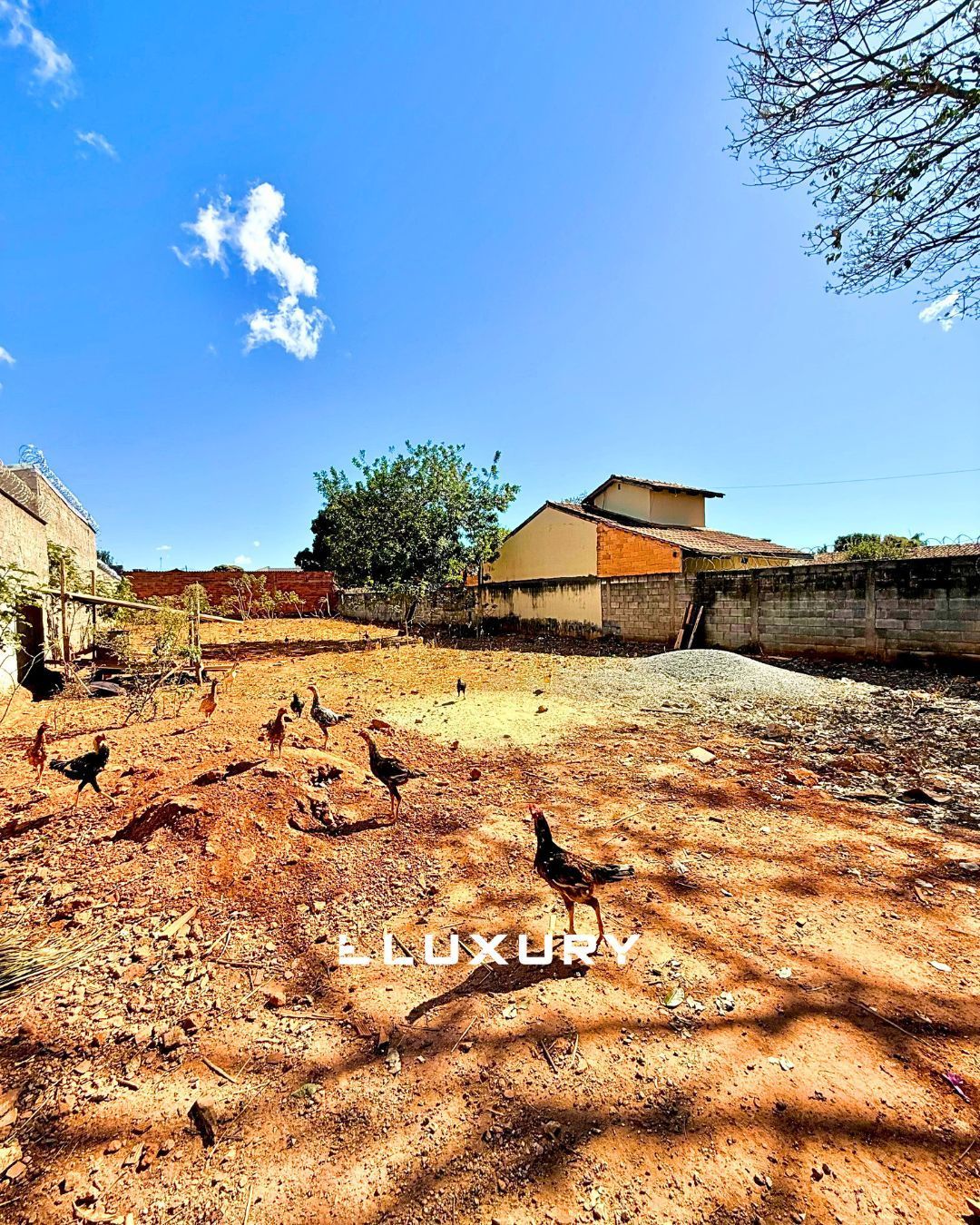 Terreno, 675 m² - Foto 3