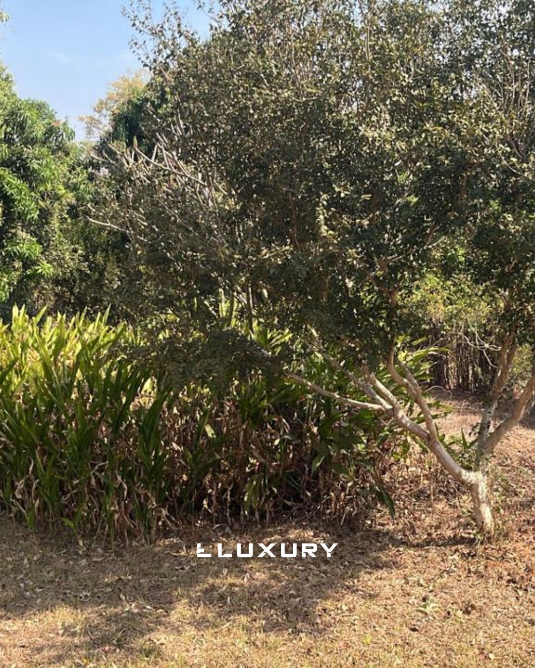 Chácara, 3 quartos, 6826 m² - Foto 15