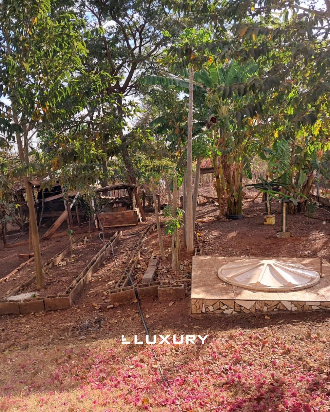 Chácara à venda com 3 quartos, 280m² - Foto 27