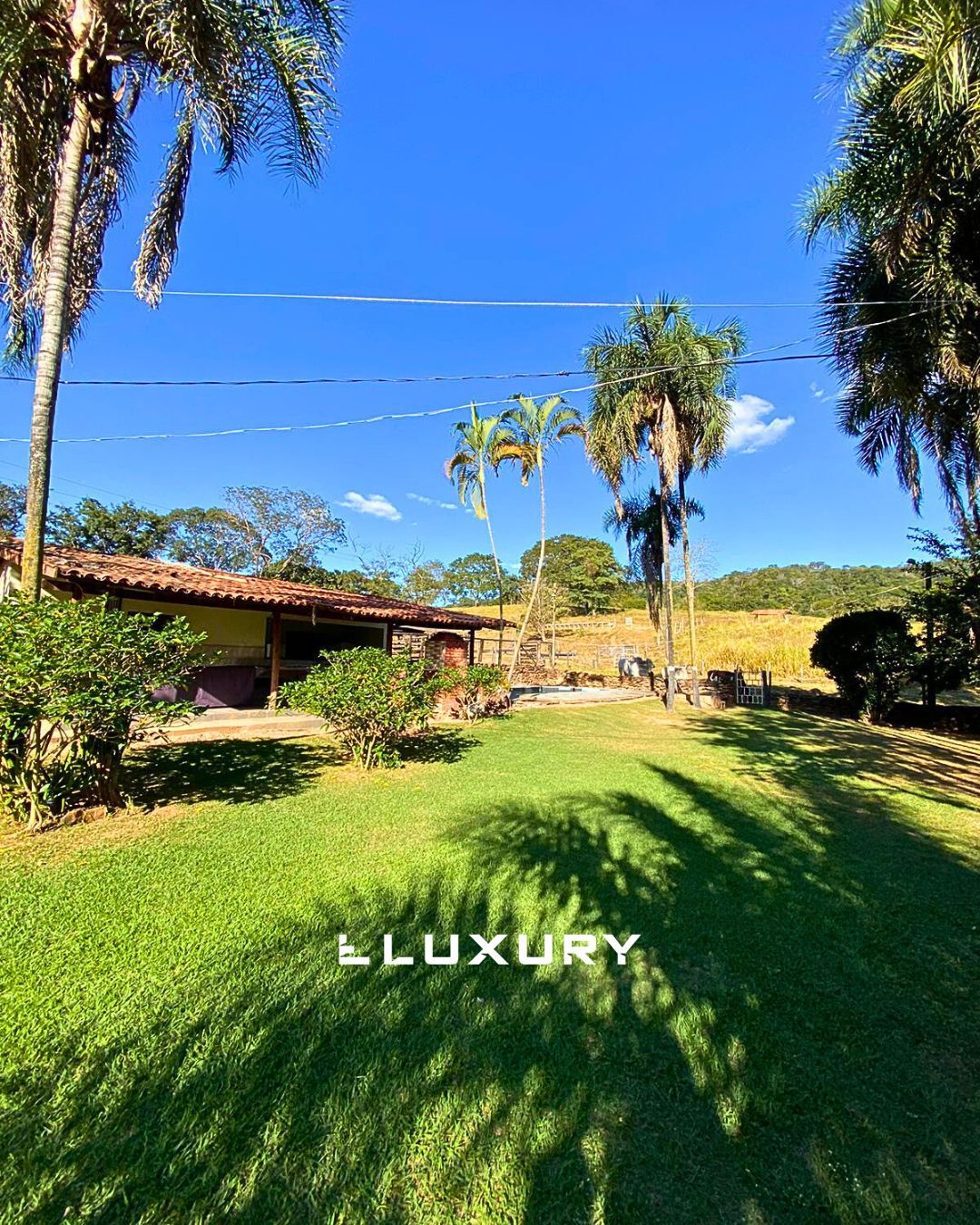 Fazenda, 121 hectares - Foto 5