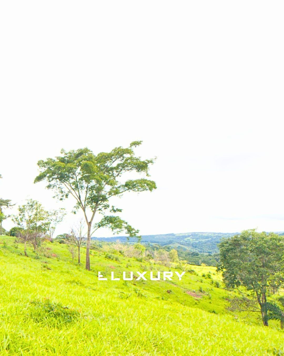 Fazenda, 25 hectares - Foto 7