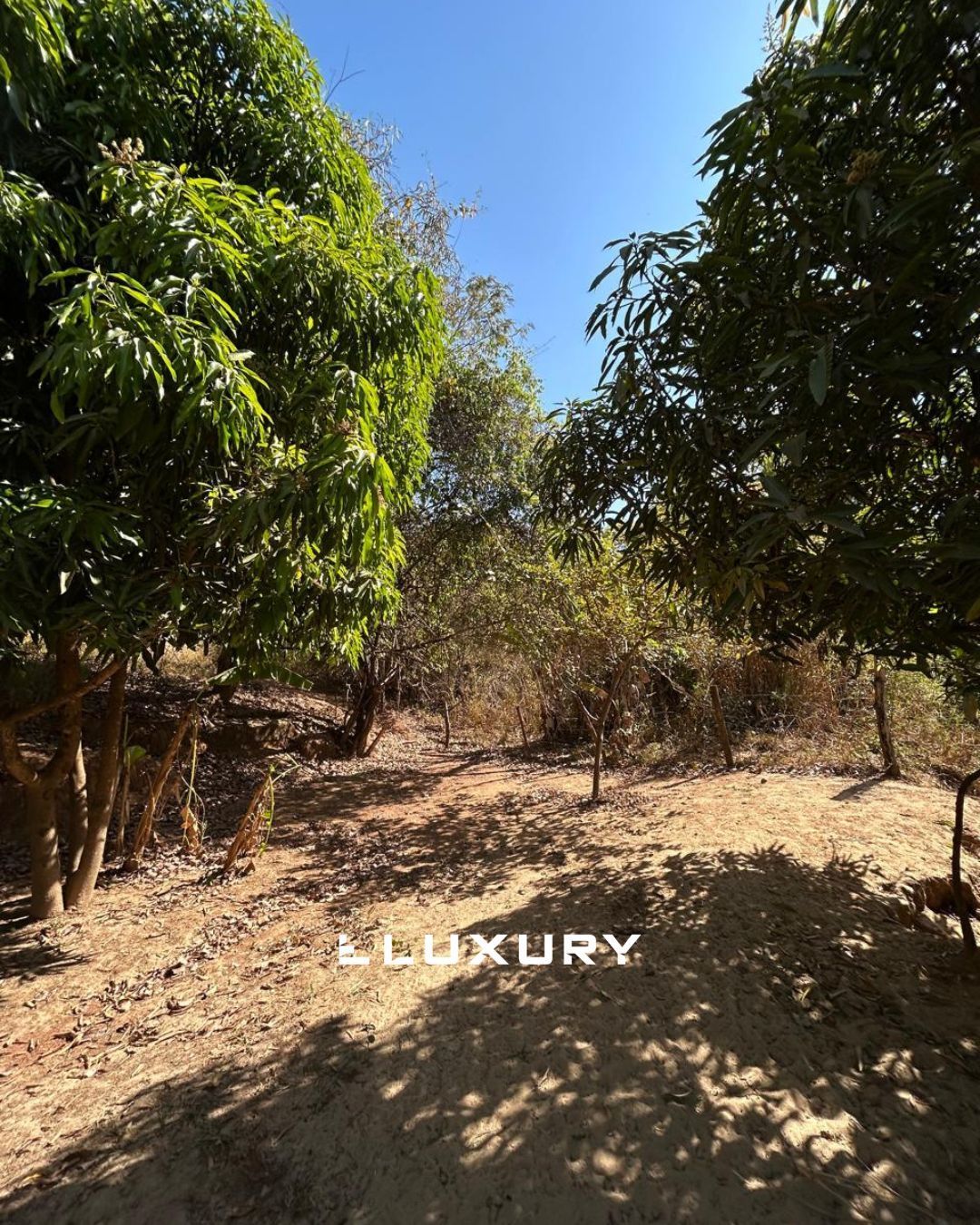 Chácara, 3 quartos, 4 m² - Foto 10