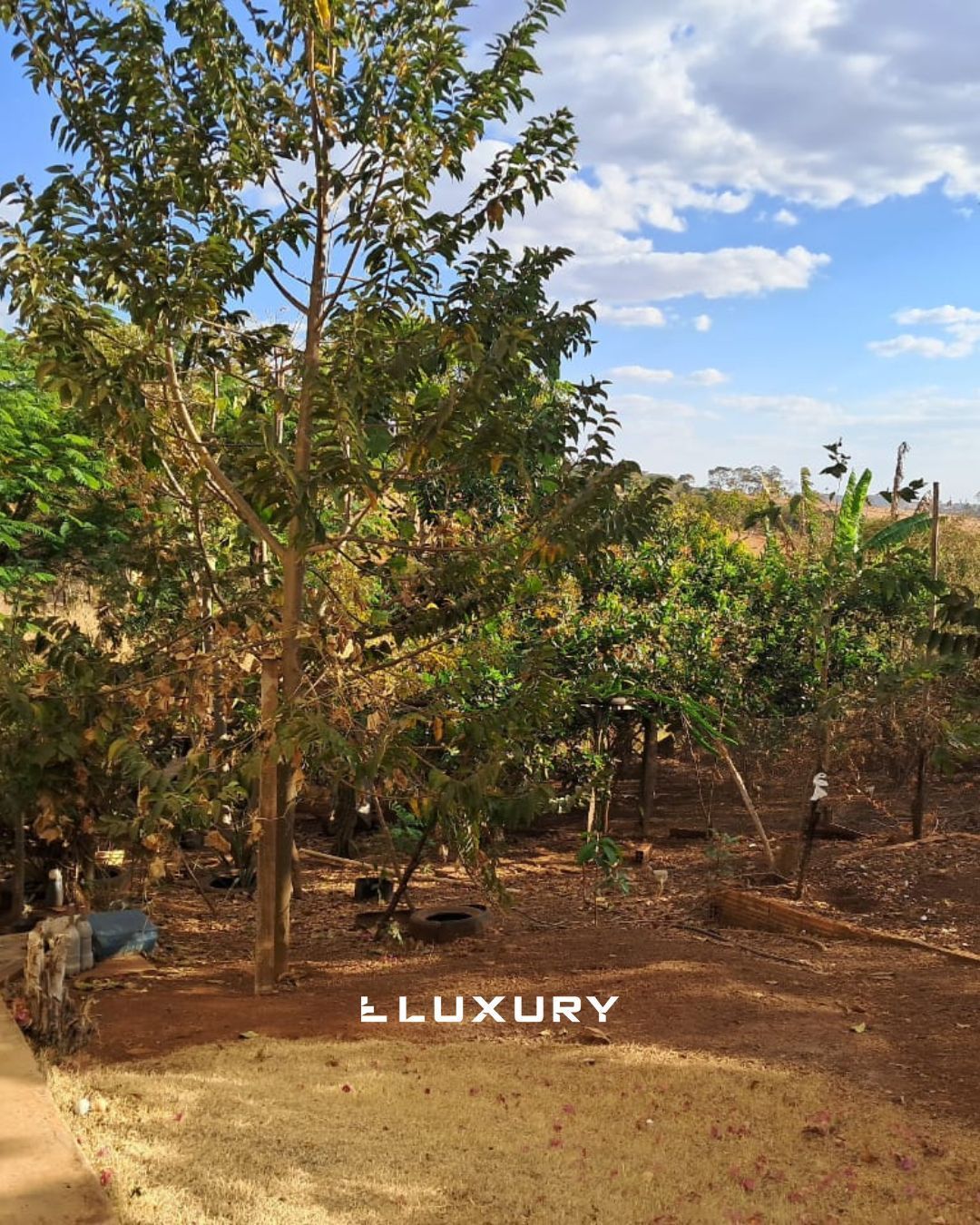 Chácara à venda com 3 quartos, 280m² - Foto 26