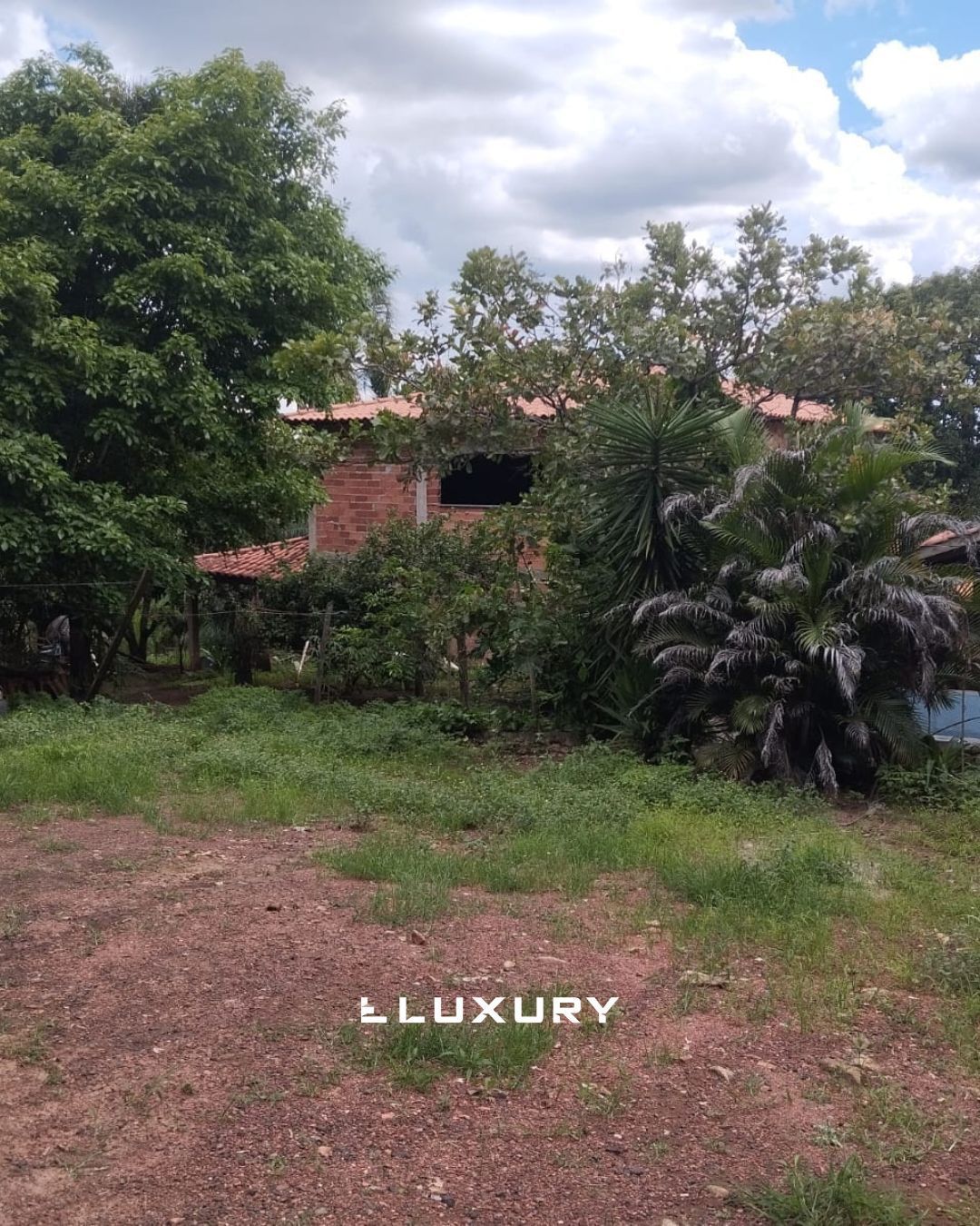 Chácara, 8 quartos, 10000 m² - Foto 7