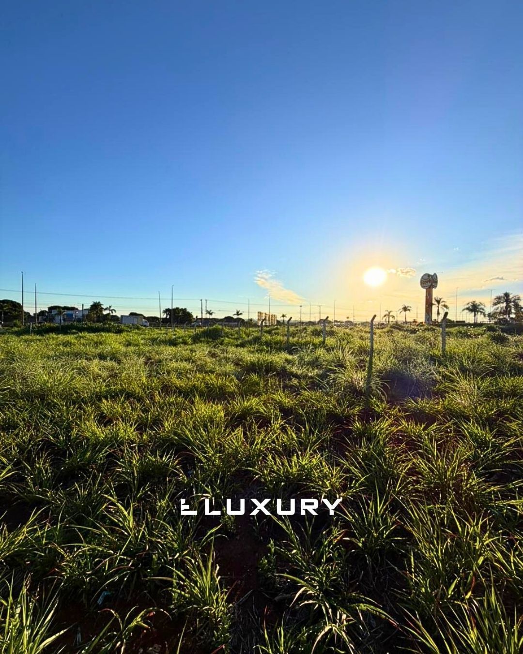 Terreno, 8000 m² - Foto 8