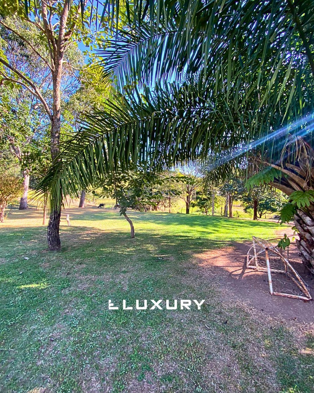 Fazenda, 121 hectares - Foto 3