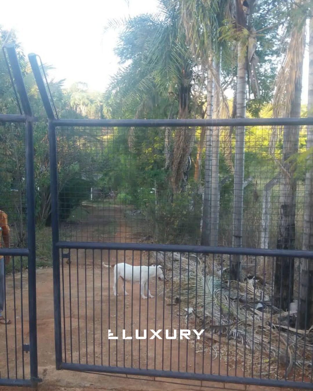 Chácara, 2 quartos, 5000 m² - Foto 17