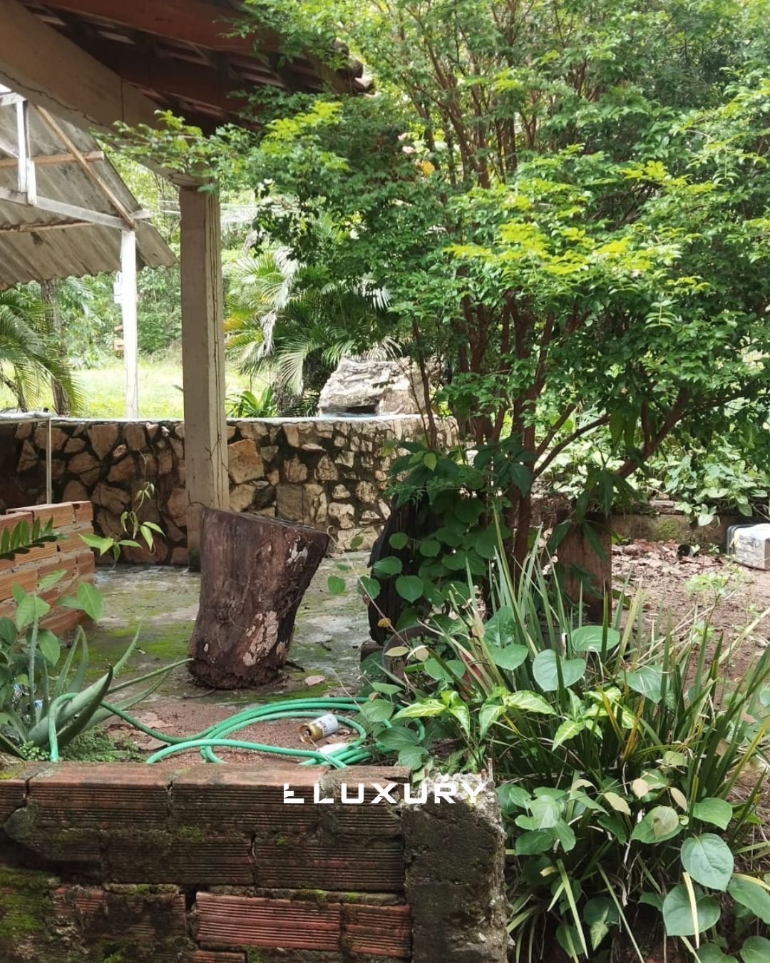 Chácara, 8 quartos, 10000 m² - Foto 2