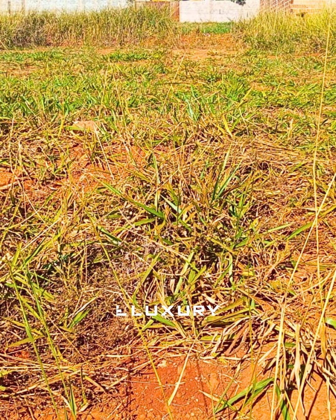 Terreno, 250 m² - Foto 4