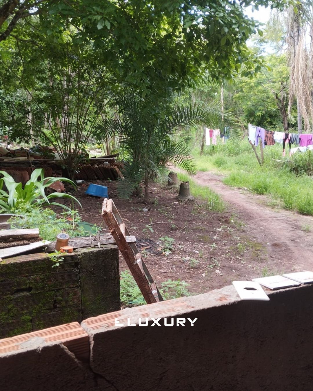 Chácara, 8 quartos, 10000 m² - Foto 9