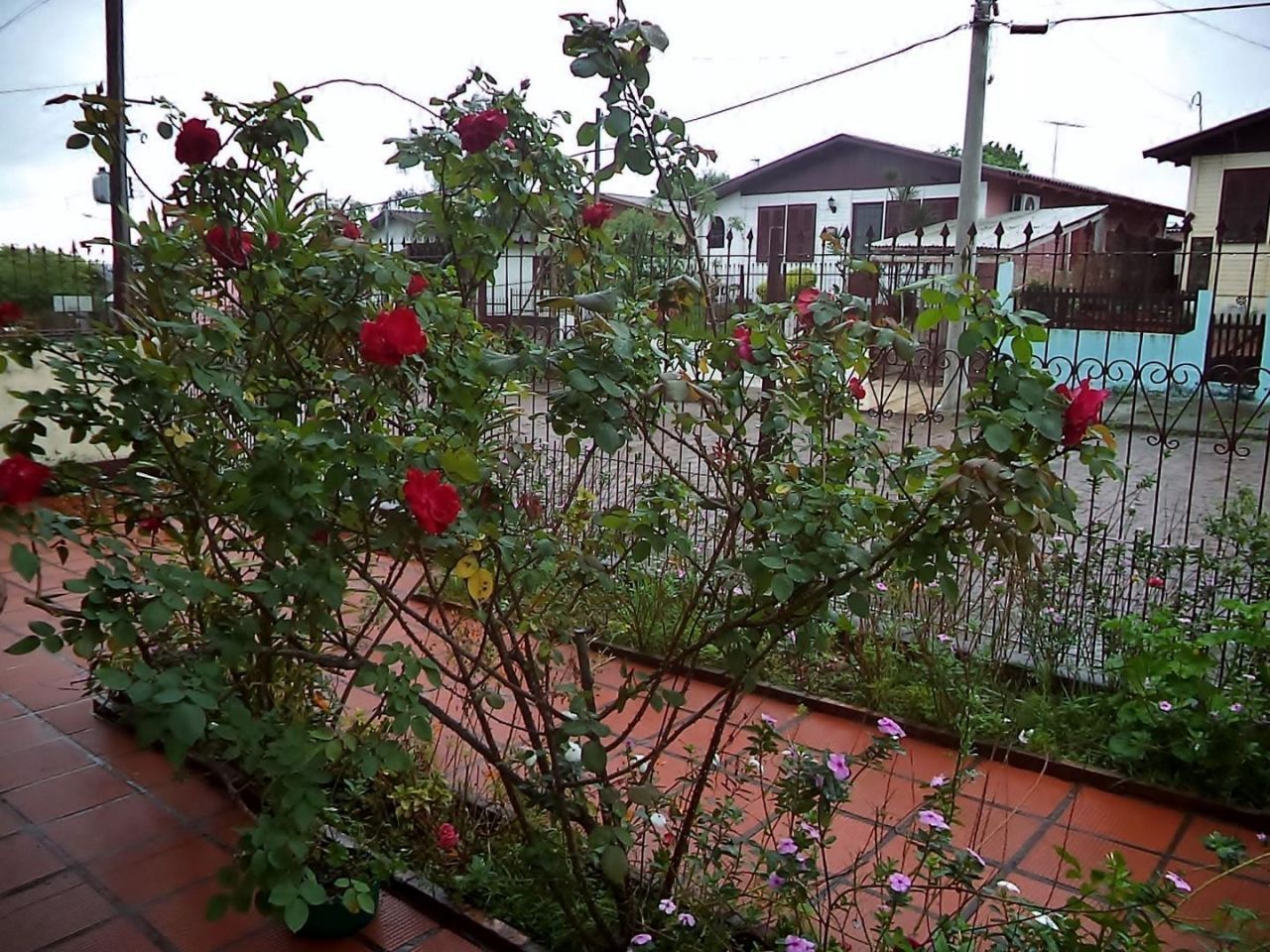 Casa à venda, 4 quartos, 1 suíte, 3 vagas, jardim planalto -