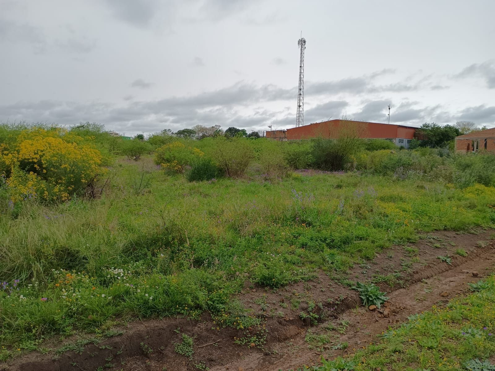 Terrenos à venda no bairro saint pastous, alegrete – 5 opçõe