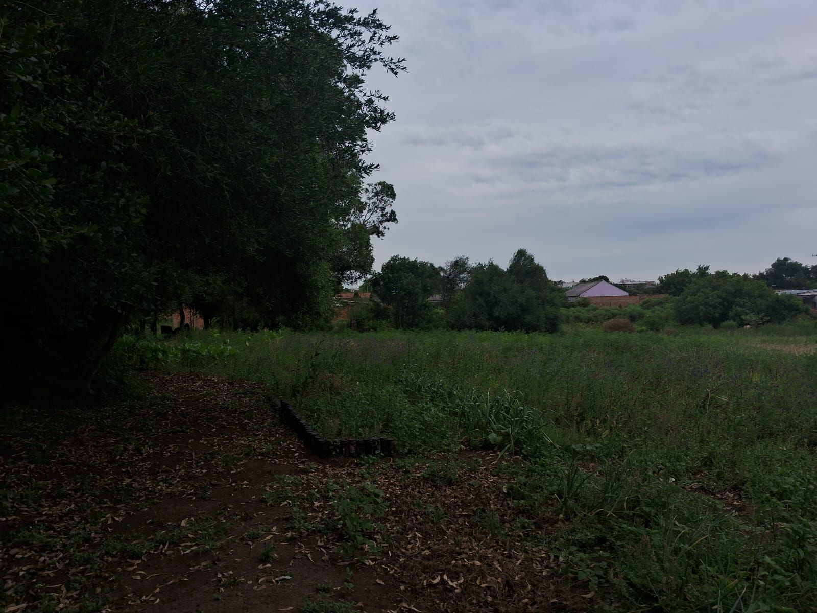Casa, 2 quartos, 99 m² - Foto 19