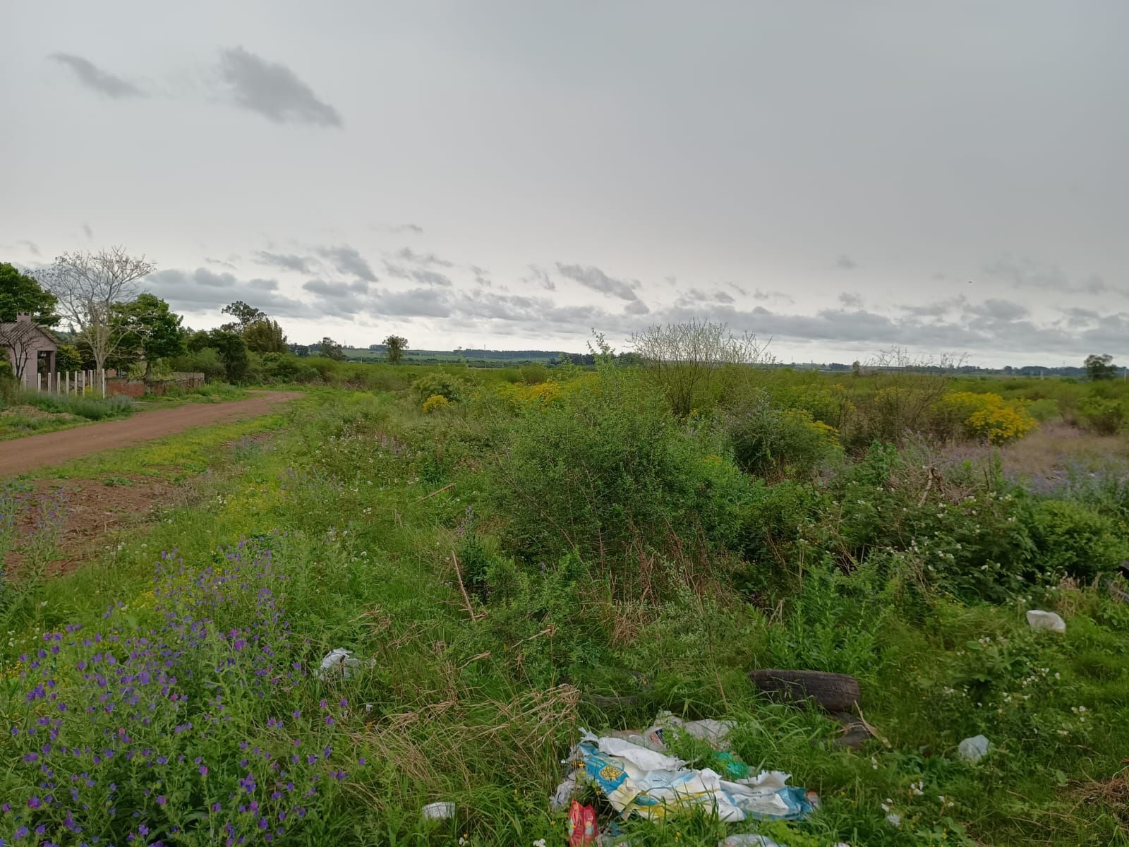 Terrenos à venda no bairro saint pastous, alegrete – 5 opçõe