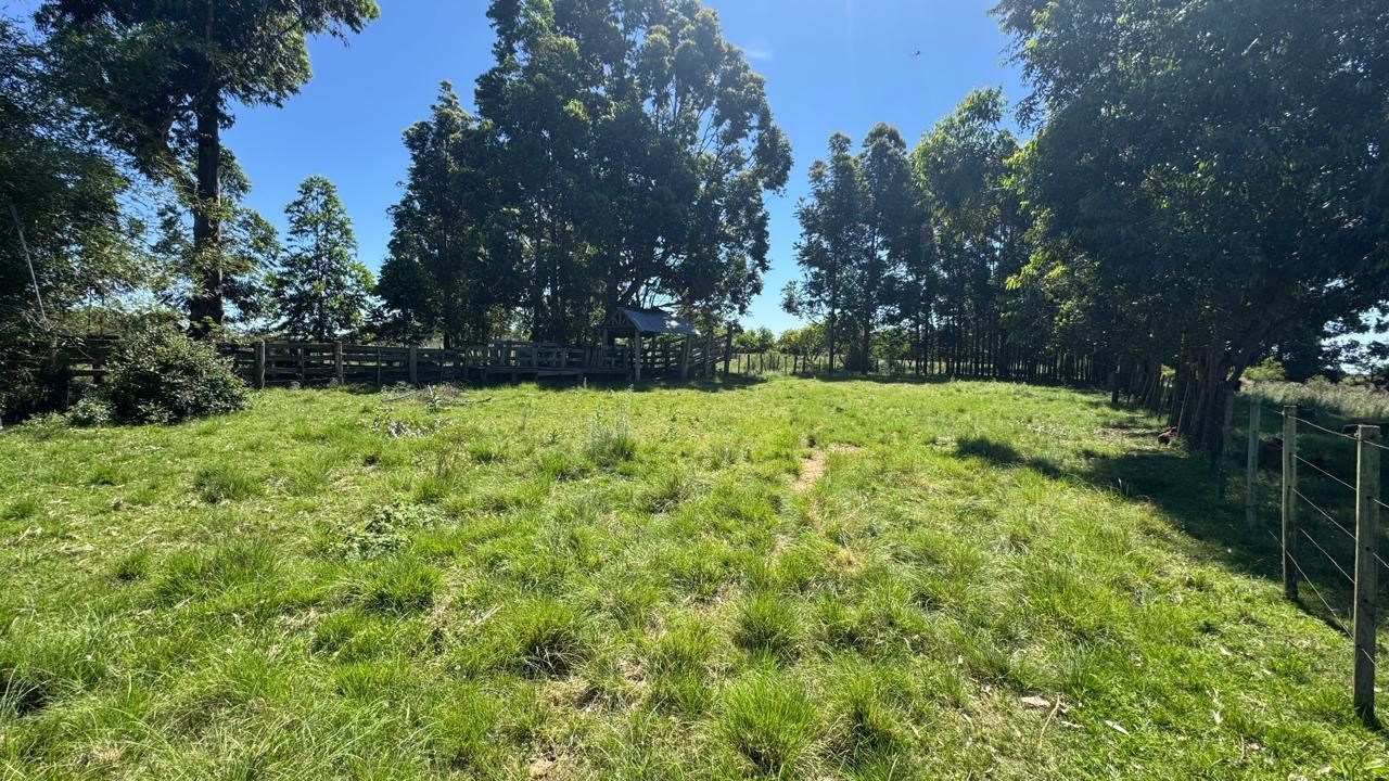 Sítio à Venda em Zona Rural – 12 Hectares, 5 Quartos, 3 Salas