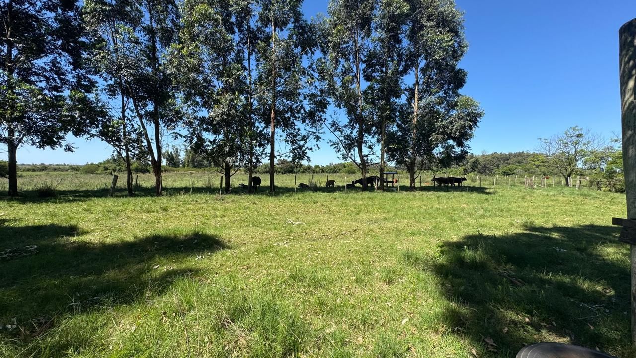 Sítio à Venda em Zona Rural – 12 Hectares, 5 Quartos, 3 Salas